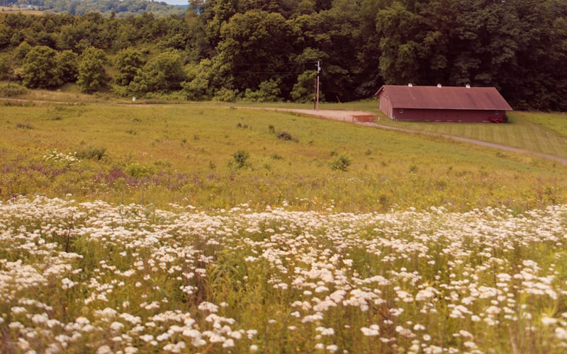 Red barn in a wildflower meadow with rolling green countryside