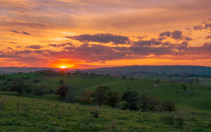 Vibrant sunset over rolling green hills in the Virginia countryside
